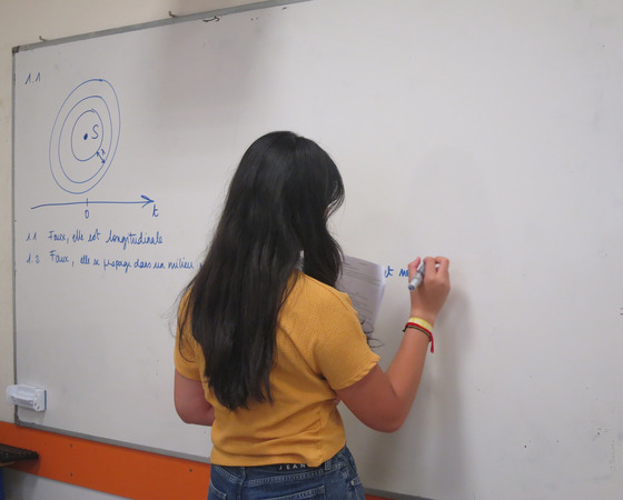 Cours particuliers &agrave; Lyon : enseignant et &eacute;l&egrave;ve en s&eacute;ance &agrave; domicile